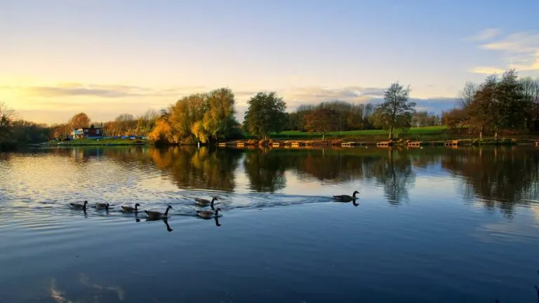 Arrow Valley Lake in Redditch, Worcestershire, where Match Foster Agency offer their fostering services