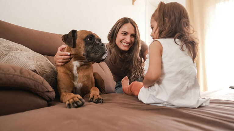 smiling-mother-and-daughter-with-cute-dog-on-sofa-2025-03-10-04-13-18-utc