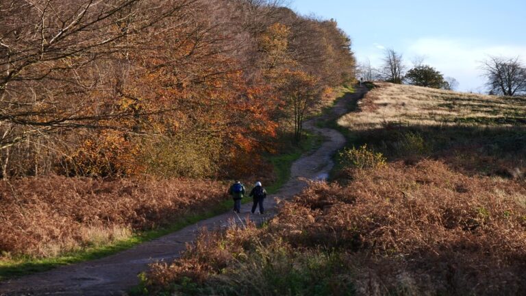 Cannock Chase, Staffordshire an area that Match Foster Care provide fostering services.