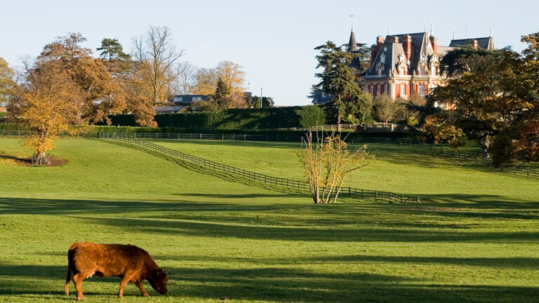 Droitwich Spa, Worcestershire. Match Foster Care offer their Fostering Services.